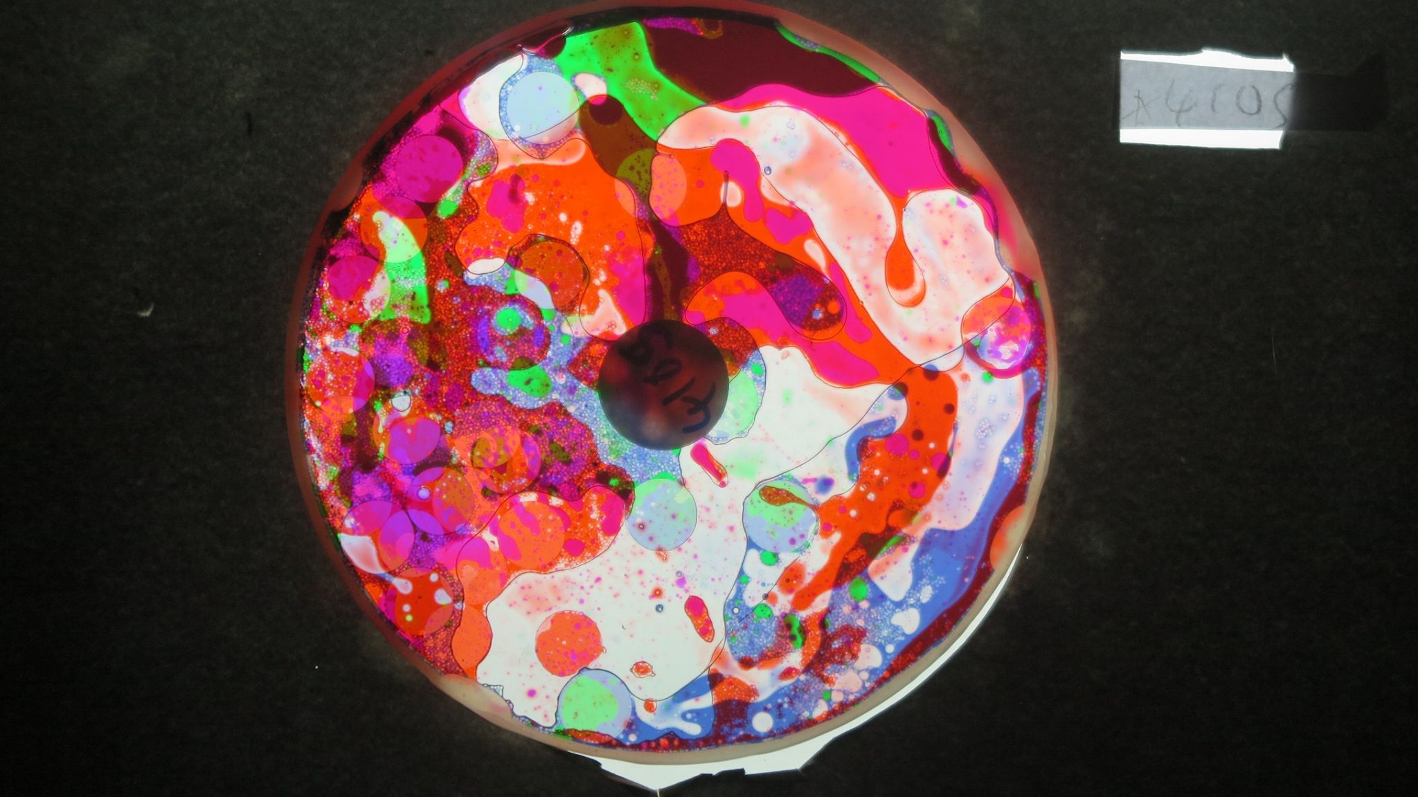 BV4105 bubble vision oil wheel